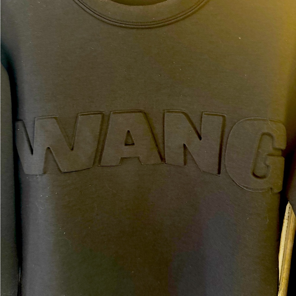 Alexander Wang Sweatshirt!